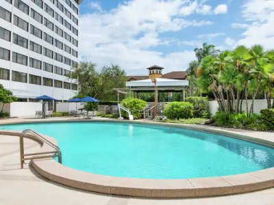 HiltonTampaPool